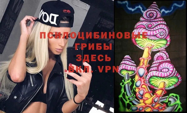 СК Аркадак