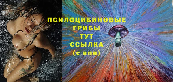 СК Аркадак